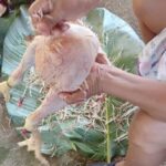 WhatsApp Image 2025-01-11 at 9.43.49 AM (3)