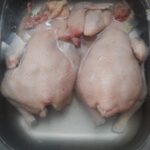 WhatsApp Image 2025-01-12 at 10.50.24 AM