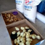 WhatsApp Image 2025-06-02 at 3.11.58 PM