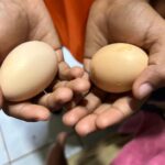 WhatsApp Image 2025-06-14 at 6.41.23 PM