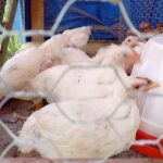 WhatsApp Image 2025-07-14 at 1.57.30 PM