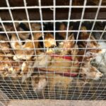 34f1b99a-0e8c-4087-a808-f456d691d2c2