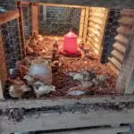 53e4bfe6-3f46-4a98-9758-c4241f82650d