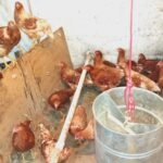 83c9a804-7ced-4691-871f-7851e23e509d