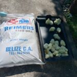 WhatsApp Image 2025-02-04 at 1.33.43 PM