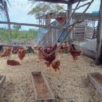 WhatsApp Image 2025-05-14 at 6.59.09 AM (1)