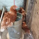 b3cd02b3-0a1d-4af1-9b5b-fd459763a483