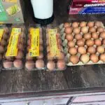 b42a8691-8a1c-4e39-8d50-727110f44f1b