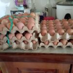 c88acfe0-adc4-4f24-b62c-0dc026dd9461