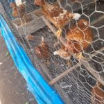 d965daec-7dad-4e89-bc03-7fd02249fe67