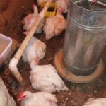 dfe32763-a71e-4542-aabb-1cd99e30001e