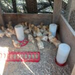 e5879770-783a-4bf8-9ed5-a9d7a4c24e60