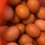 f21b9570-1dd3-4bf1-91e5-596658c72ee8