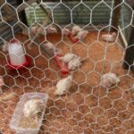 f5804f7f-f614-4c59-a886-4e6382203788